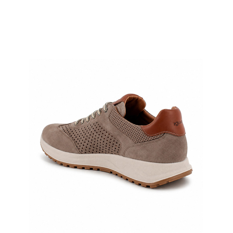 Sneakers IGI&CO 7634744 Gris Opaco