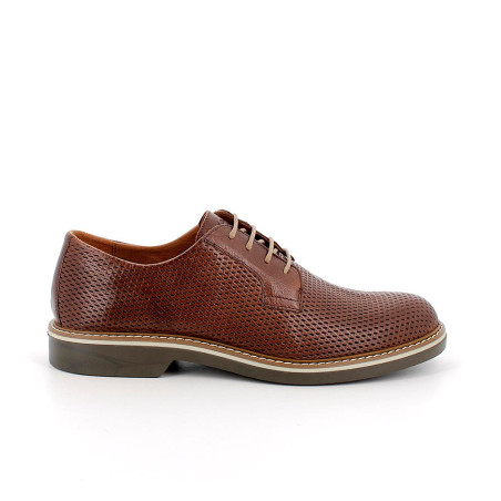Zapato IGI&CO 5608811 Fango