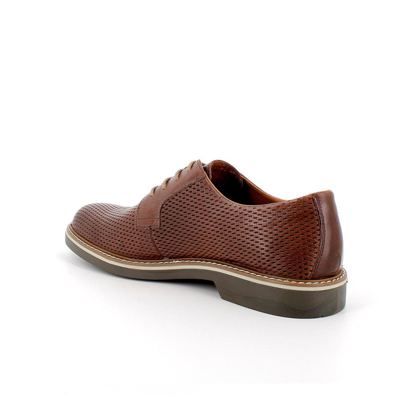 Zapato IGI&CO 5608811 Fango